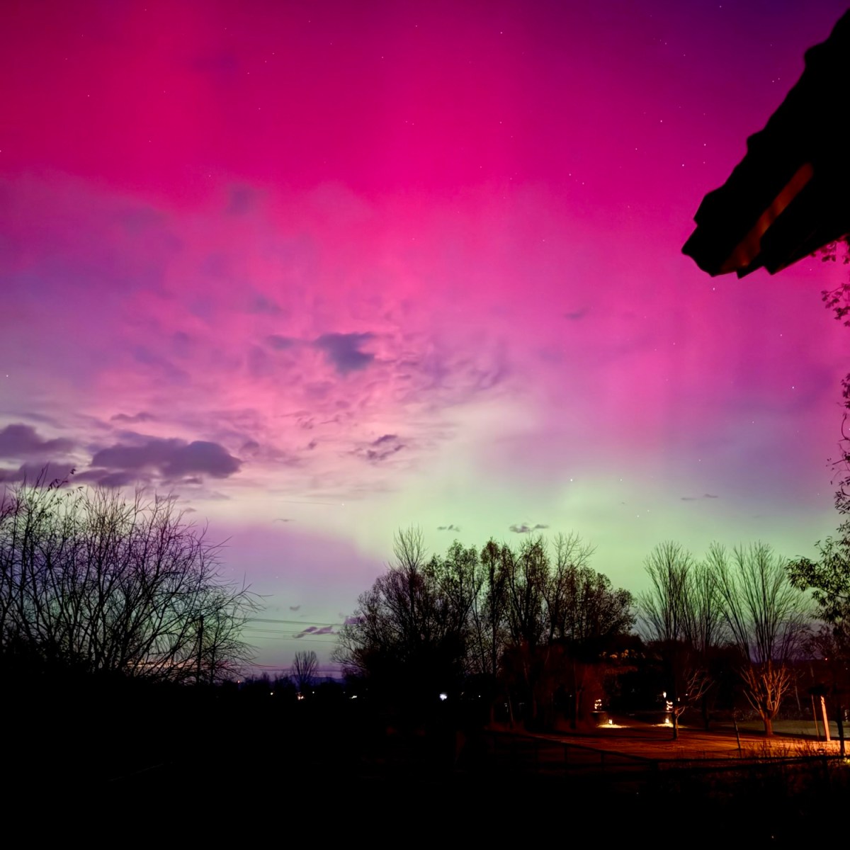 Western Montana Fly Fishing&nbsp;Report