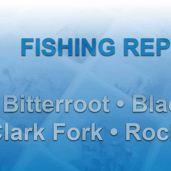 Western Montana Fly Fishing Report – Week of April 27, 2026 | Lightweight Fly&nbsp;Shop